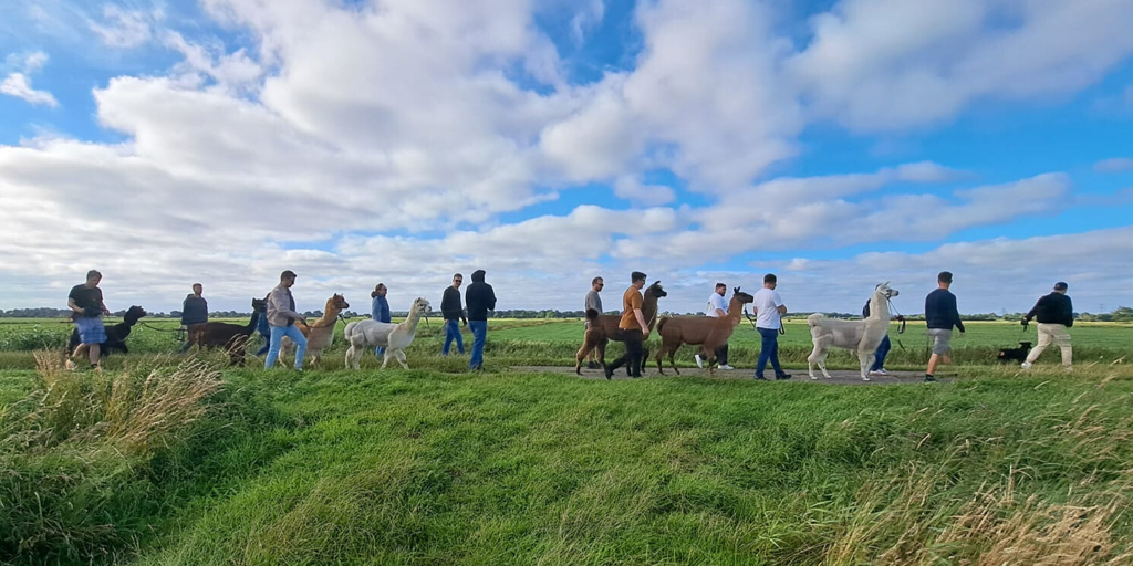 weserterrassen-wanderungenl weserterrassen-wanderungenl
